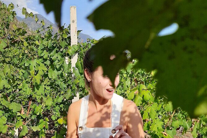 Private Wine Tour: Terraced Vineyards with Alpine view from Milan - Practical Details and Considerations