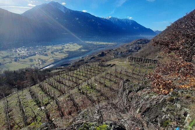 Private Wine Tour: Terraced Vineyards with Alpine view from Milan - FAQ