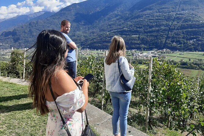 Private Wine Tour: Terraced Vineyards with Alpine view from Milan - Final Thoughts