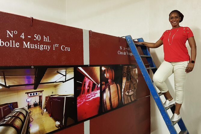 Private Wine Tour to Burgundy Region from Paris - A Deep Dive into the Burgundy Private Tour