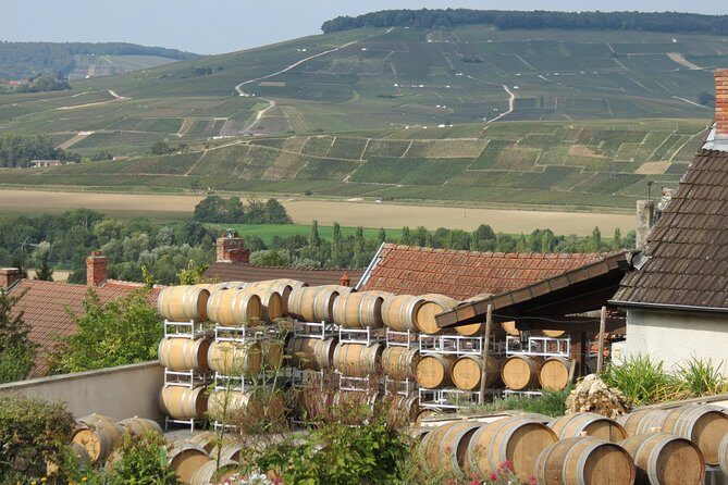 Private wine tour to Champagne region from Paris - What to Expect on the Tour