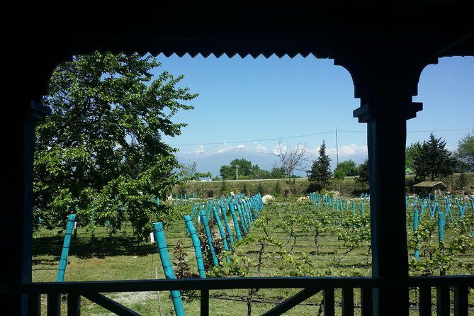 Private Wine Tour to Kakheti from Tbilisi - The Journey Begins: From Tbilisi to Kakheti
