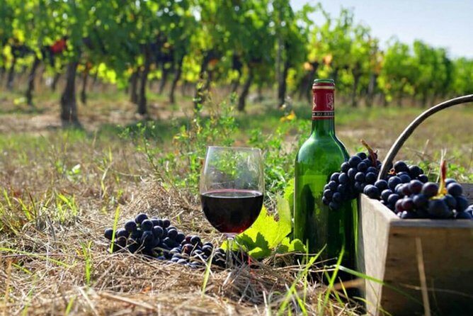 Private wine tour to Khor Virap, Areni winery, Noravank - Key Points