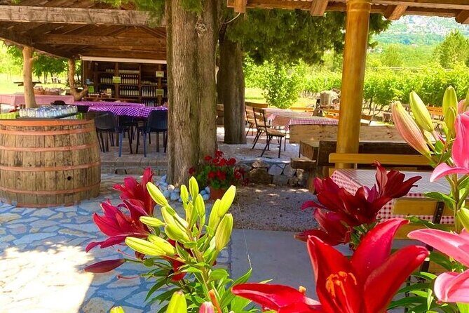 PRIVATE Wine Tour to Konavle country side - Who Will Love This Tour?