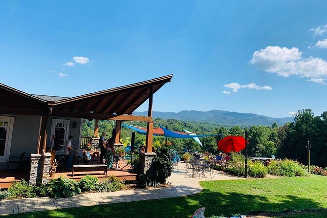 Private Wine Tour with Dine in Black Mountain from Asheville - Exploring the Private Wine Tour with Dine in Black Mountain from Asheville
