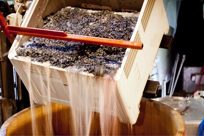 Private Wine Tour with Tastings from Eugene - A Closer Look at the Private Wine Tour from Eugene