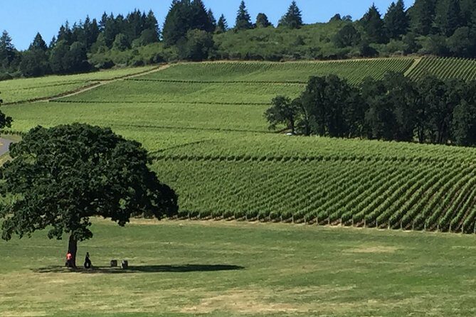 Private Wine Tour with Tastings from Eugene - Who This Tour Is Best For