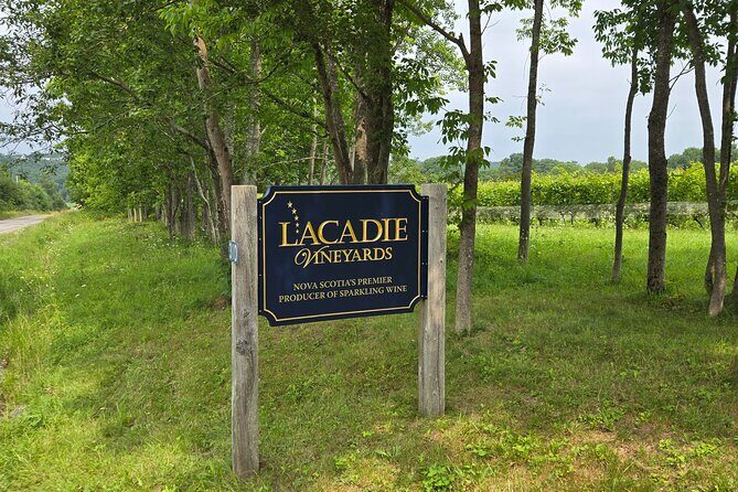 Private Wine Tours from Halifax - The Experience in Detail