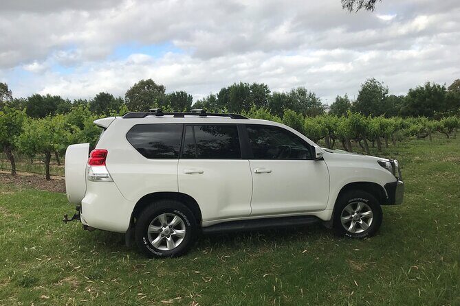 Private Wine Tours McLaren Vale or Adelaide Hills - Who Should Consider This Tour?