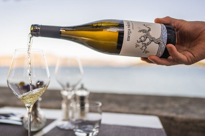 Private Winemaking of the Island of Korula - What This Tour Is All About