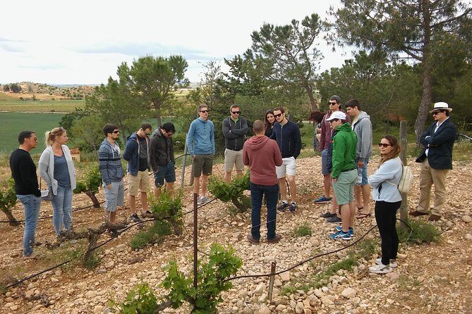Private Wineries Tour from Valencia (morning tour) - Pricing and Value