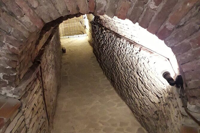 Private Winery and Vineyard Tour with Wine Tasting - What to Expect from the Experience