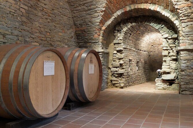 Private Winery and Vineyard Tour with Wine Tasting - Who Is This Tour Best For?