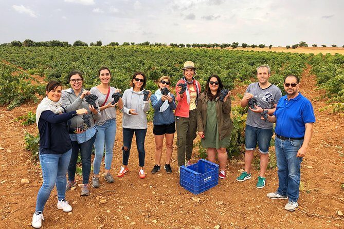 Private Winery Tour near Madrid with Sommelier (6-hour) - An Introduction to the Tour