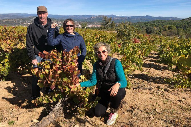 Private Winery Tour near Madrid with Sommelier (6-hour) - What You Can Expect in Terms of Experience