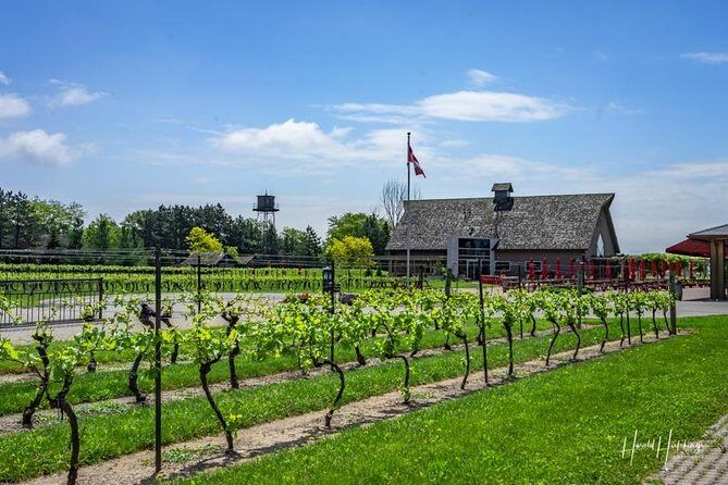 Private Winery Tour of Niagara-on-the-Lake - The Experience from Reviews