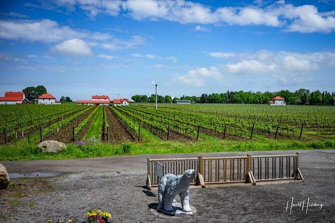 Private Winery Tour of Niagara-on-the-Lake - Who Should Consider This Tour?