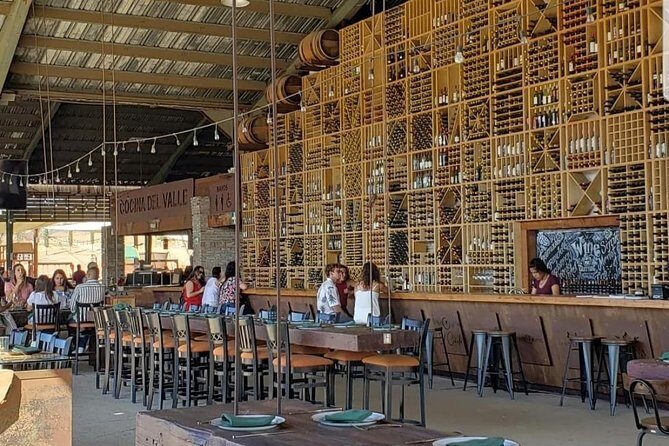 PRIVATE WINETASTING TOUR (Transportation,custom schedule) - In-Depth Look at the Private Guadalupe Valley Wine Tour