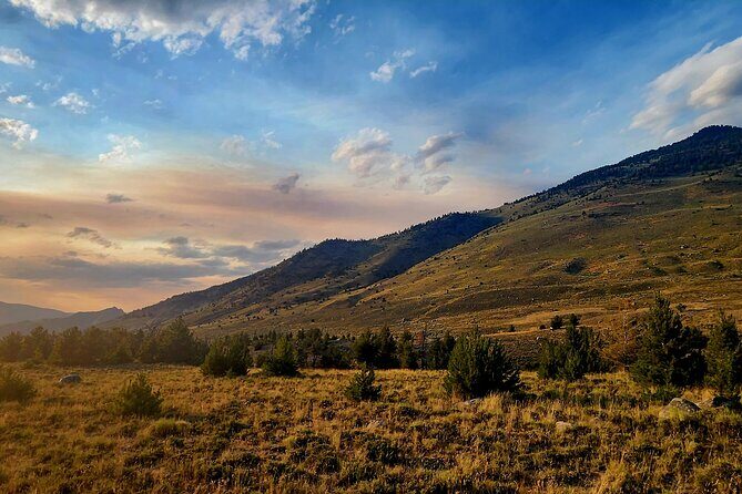 Private Winter Wildlife Tour and Wolves - Insights from Real Travelers