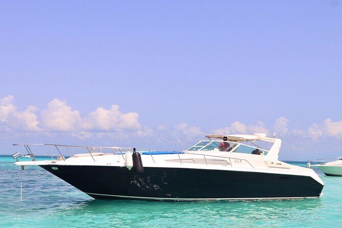 Private Yacht 46ft Sea Ray Snorkel up to 15 pax 23P2 - The Snorkeling Experience and Water Activities