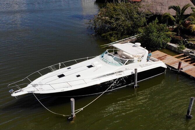 Private Yacht 46ft Sea Ray Snorkel up to 15 pax 23P2 - Crew and Service Quality