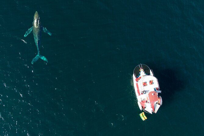 Private Yacht Charter ChicaFUN 3 Waterslides All Inclusive - The Water Fun and Entertainment