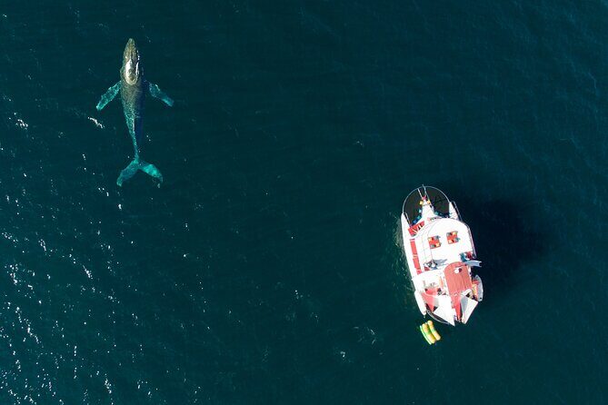 Private Yacht Charter on ChicaFun 1 Waterslides all inclusive - What to Expect from the Private Yacht Experience