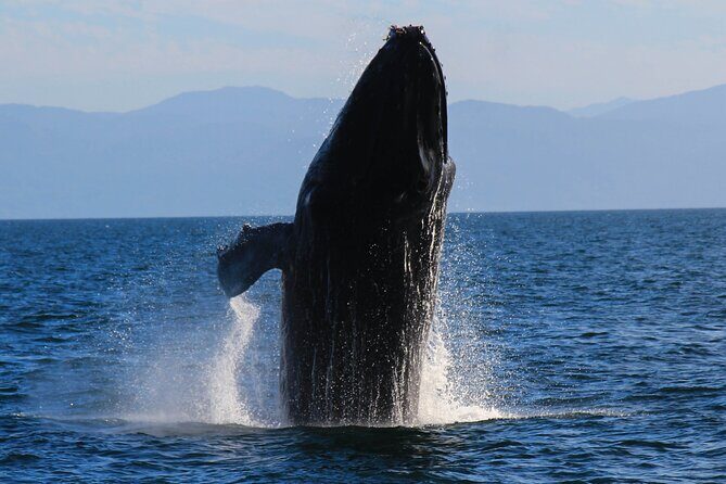 Private Yacht Charter on ChicaFun 1 Waterslides all inclusive - Who Is This Tour Best For?