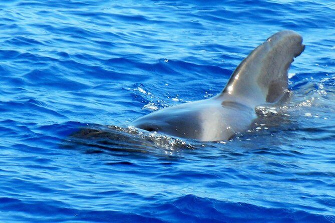 Private Yacht Excursion from Puerto Colon 3 hours - An Inside Look at the Private Yacht Experience