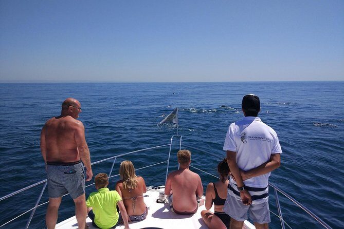 Private Yacht Hire in The Algarve - Majestic - What Travelers Are Saying