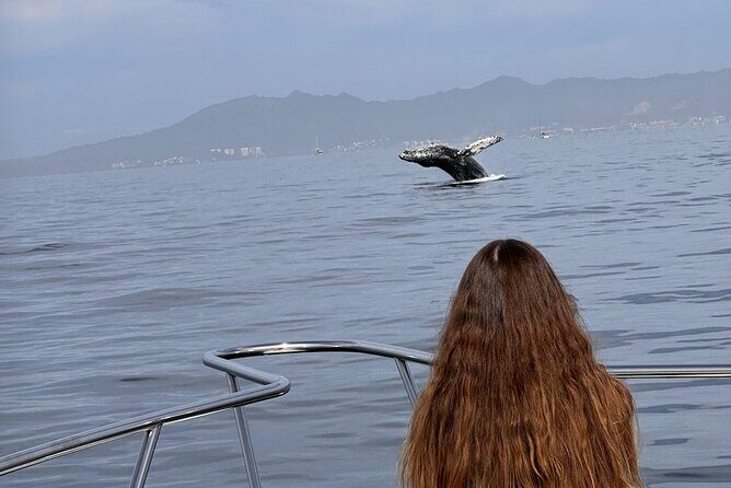 Private Yacht, Sightseeing, Snorkeling and Private beaches - Itinerary Breakdown and Practicalities