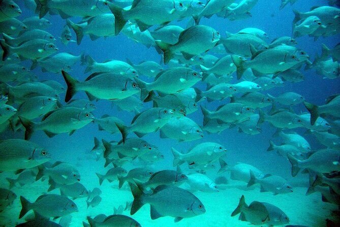 Private Yal-ku and Akumal Experience - Practical Details to Keep in Mind