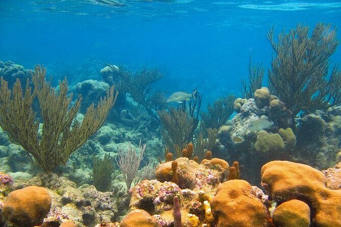 Private Yal-ku and Akumal Experience - Final Thoughts