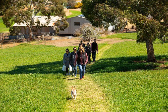 Private Yalumba Wine Tour Experience from Angaston - FAQ