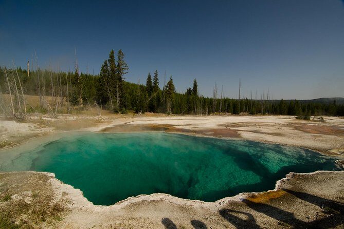 Private Yellowstone Old Faithful and Lower Loop Tour - Final Thoughts