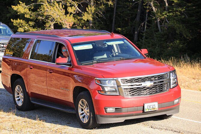 Private Yellowstone Tour: ICONIC Sites, Wildlife, Family Friendly Hikes + lunch - Who Will Love This Tour?