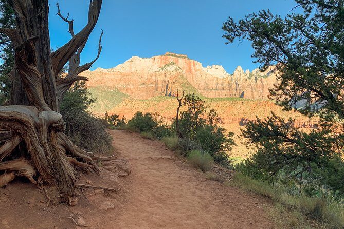 Private Zion Canyon National Park Day Tour from Las Vegas - The Bottom Line