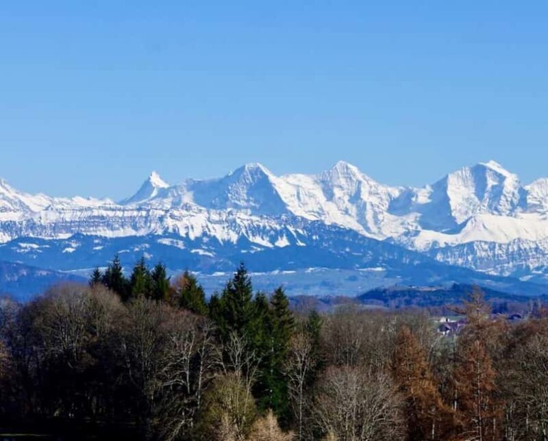 Private Zurich Day Trip: Bern & Emmental Cheese Tour - An In-Depth Look at the Tour Experience