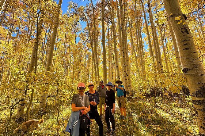 Privately Guided Scenic Mountain Hike - An In-Depth Look at the Scenic Mountain Hike Experience