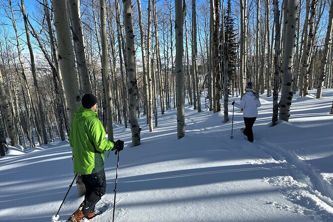Privately Guided Snowshoe Experience - The Real Traveler Voice: Authentic Experiences