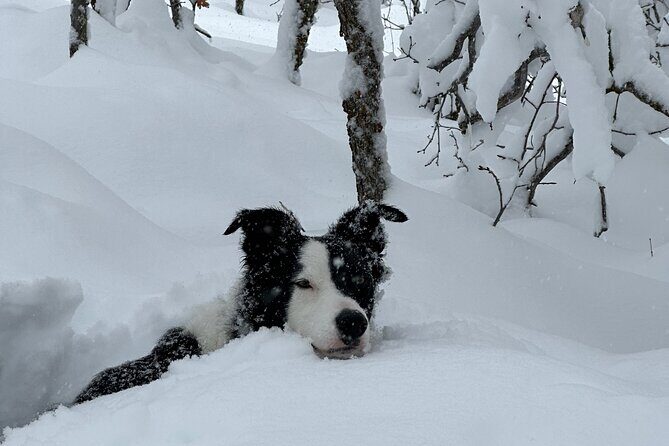 Privately Guided Snowshoe Experience - FAQs