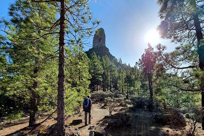 Professional climbing guide - What to Expect from the Climbing Experience in Gran Canaria