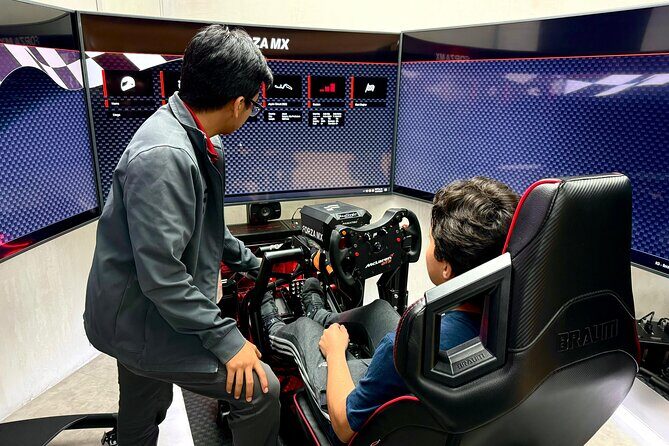 Professional racing simulator - The Real Value of the Experience