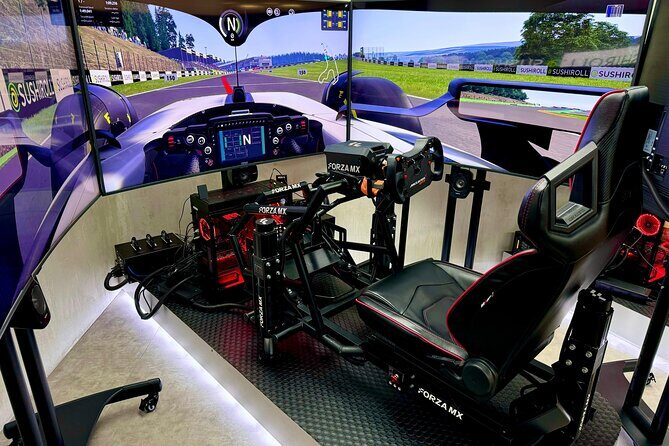 Professional racing simulator - Practical Tips for Visiting