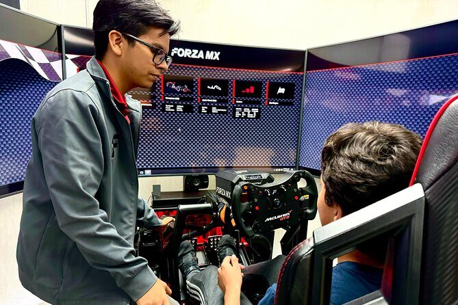 Professional racing simulator - FAQ