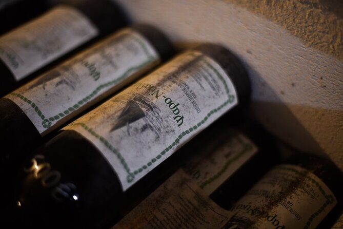 Professional Tour with Winemaker in Ikaria - What the Tour Looks Like