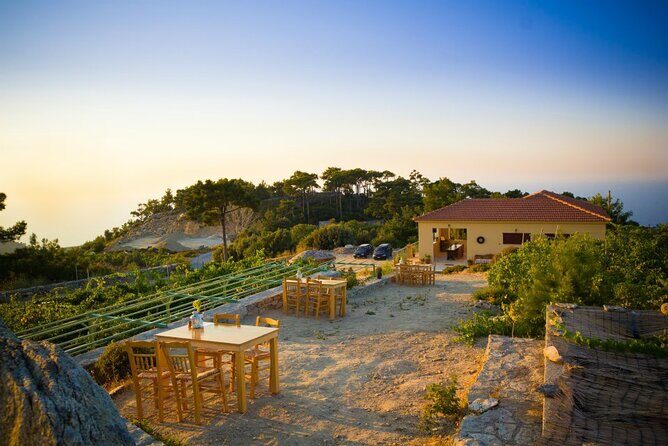 Professional Tour with Winemaker in Ikaria - The Price and Why It’s Worth It