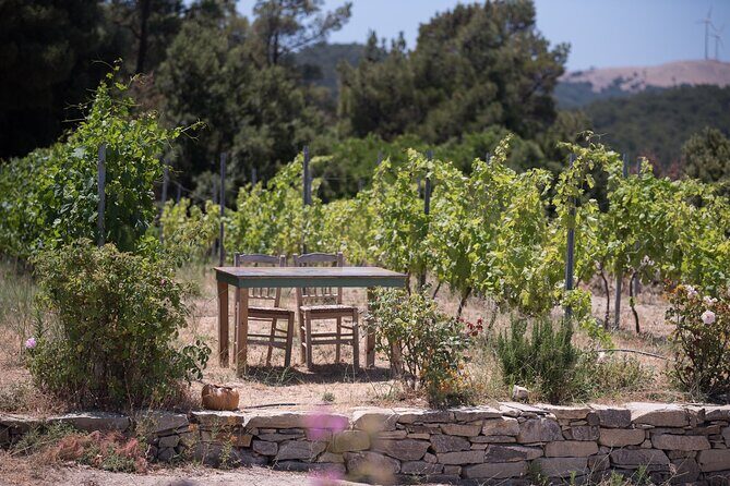 Professional Tour with Winemaker in Ikaria - FAQ