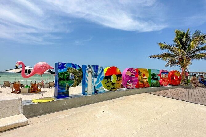 Progreso, Flamingos, Cenote, and Salt Ponds adventure from Merida - Key Points