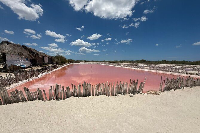 Progreso, Flamingos, Cenote, and Salt Ponds adventure from Merida - Who Will Love This Tour?